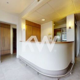 BATIMENT A USAGE PROFESSIONNEL, secteur Jamin Sébastopol