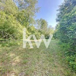  vendre  Muizon ? Terrain de loisir bois