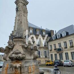 Appartement REIMS 3 pièce(s) 68.65 m2 avec balcon et cave en centre ville.